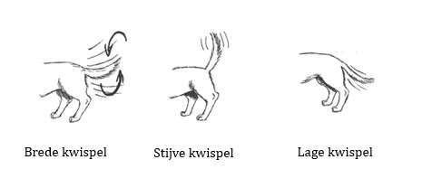 Lichaamstaal - DogStars Hondenschool